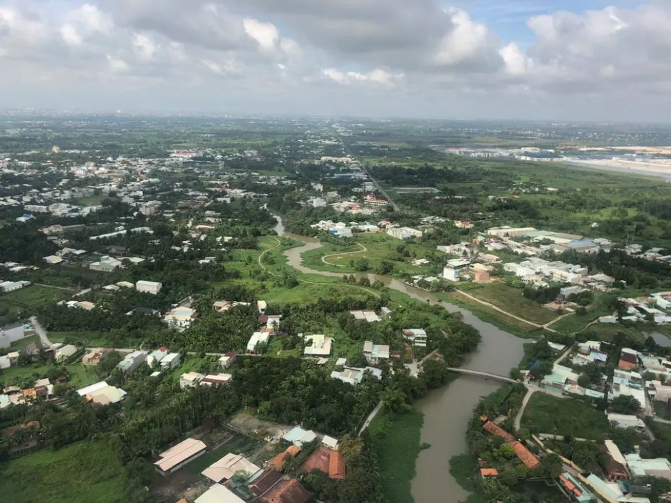 Xây dựng 4 tuyến đường du lịch sinh thái tại rừng ngập mặn Cần Giờ. Ảnh: QUỐC HÙNG