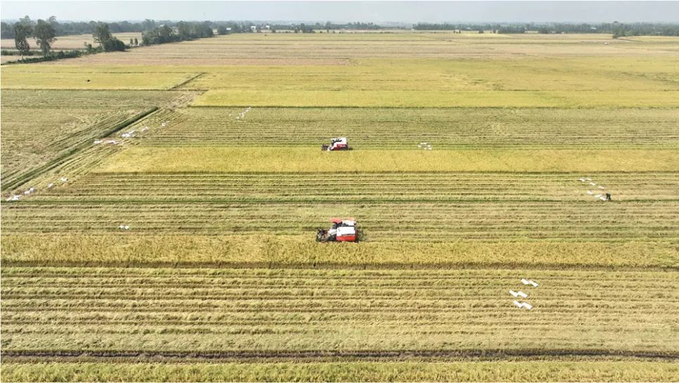 Chiến sự Trung Đông khiến giá phân bón tăng hơn 30%