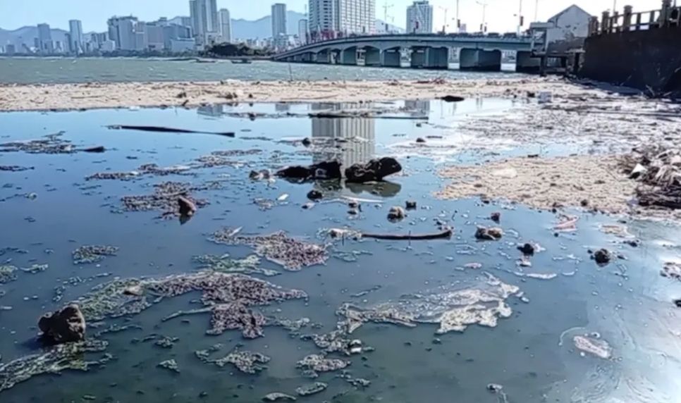 Dòng nước thải chưa qua xử lý đổ ra biển tại khu vực công viên phía Bắc cầu Trần Phú. Ảnh: NDCC