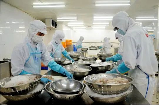 Công nhân chế biến thủy sản tại Công ty TNHH Tứ Hải, phường Phước Thắng, TPHCM. Ảnh: THANH HUY