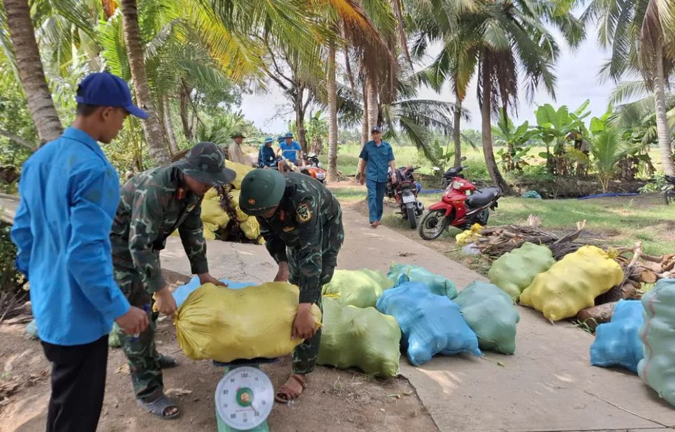 Lực lượng hậu cần bộ đội trực tiếp thu mua bí đỏ giúp hộ ông Hồng Minh Luân, ấp Minh Hà A, xã Khánh Bình, tỉnh Cà Mau