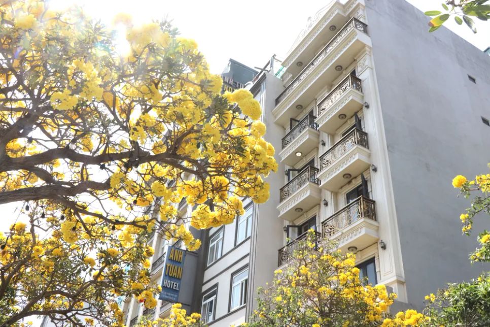 Chuông vàng rực rỡ như tô điểm thêm cho những khách sạn ở mặt tiền đường Trần Quý Cáp. Ảnh: QUANG VŨ