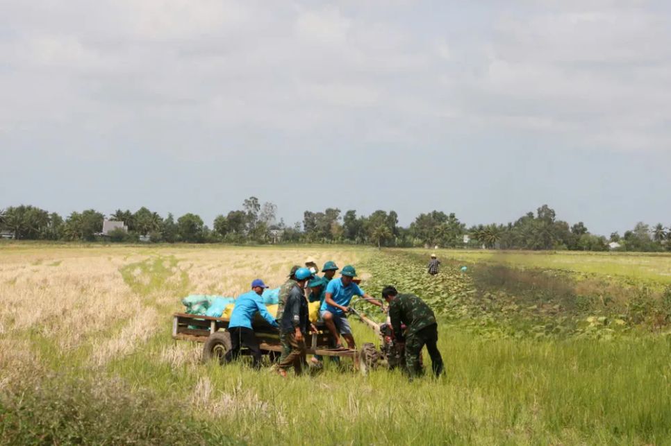 Bộ đội giúp dân thu hoạch bí đỏ Bộ đội giúp dân thu hoạch bí đỏ