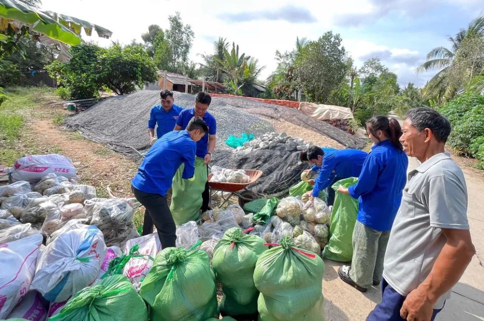Lực lượng đoàn viên hỗ trợ nông dân tiêu thụ bí đỏ. Ảnh: PHÚC HOÀI Lực lượng đoàn viên hỗ trợ nông dân tiêu thụ bí đỏ. Ảnh: PHÚC HOÀI