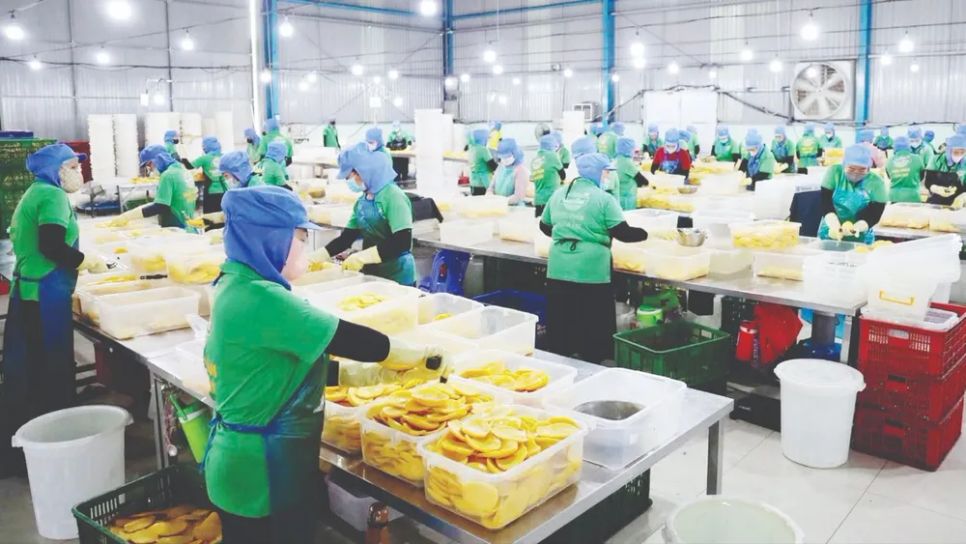 Cách doanh nghiệp ứng phó nguy cơ đứt gãy chuỗi cung ứng