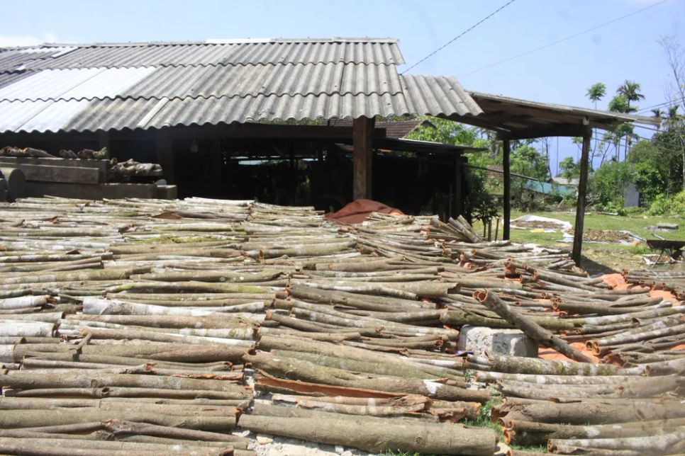 Ảnh: NGUYỄN TRANG