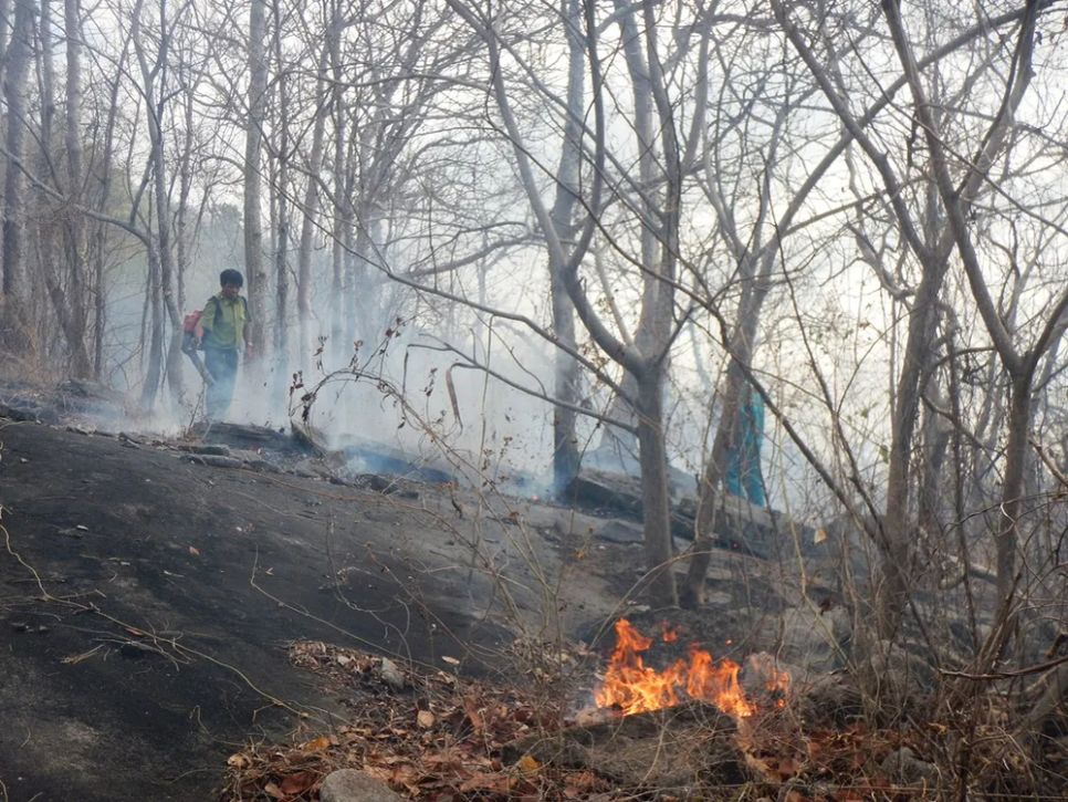 Một vụ cháy rừng ở Lâm Đồng