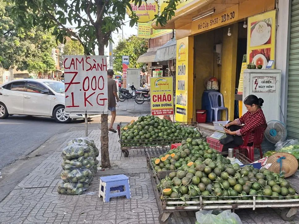 Cam sành chất đống trên đường Nơ Trang Long (phường Bình Lợi Trung), giá rất rẻ nhưng vắng người mua