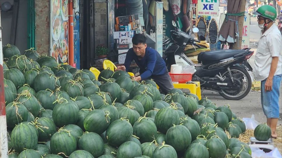 Thị trường trái cây tại TPHCM: Hàng dồi dào, giá rẻ nhưng vắng người mua