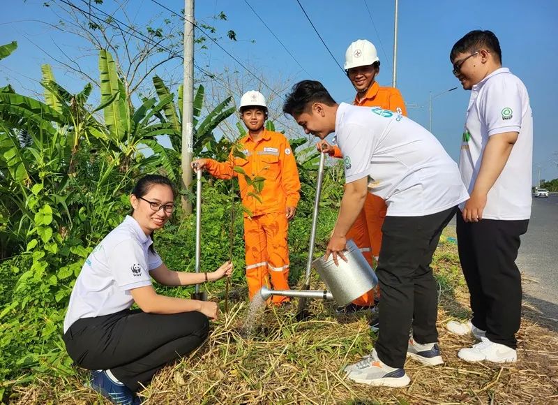 CBCNV hào hứng tham gia trồng cây sao tại xã Đông Hiệp, TP Cần Thơ