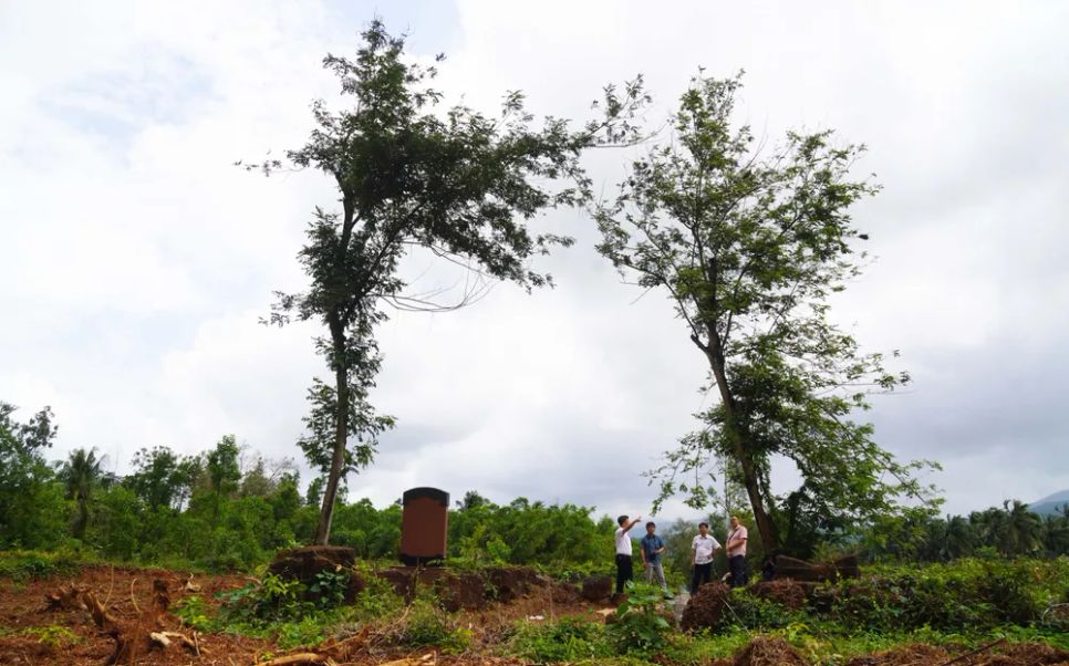 Khu thành lũy, mộ Chàng Lía hiện vẫn còn lưu dấu với nhiều phế tích ở núi Truông Mây, xã Hoài Ân