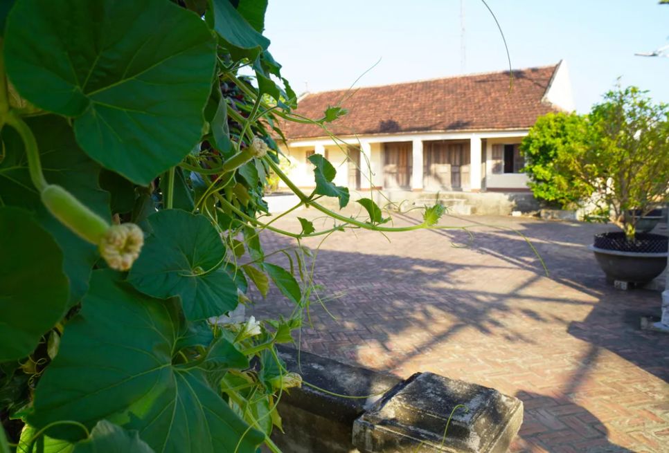 Dàn bầu sai trĩu quả, lủng lẳng bên ngôi nhà cổ