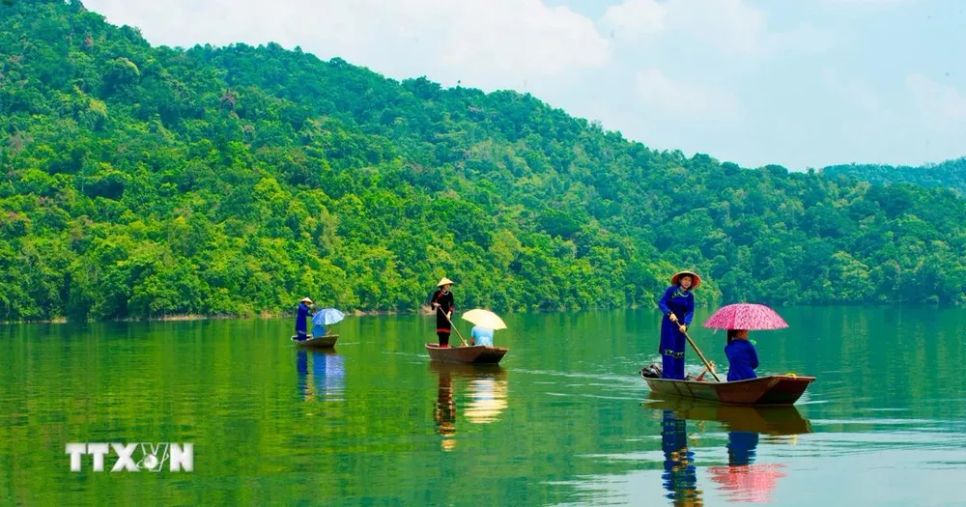 1.900 tỷ đồng để bảo tồn, quản lý rừng bền vững 1.900 tỷ đồng để bảo tồn, quản lý rừng bền vững