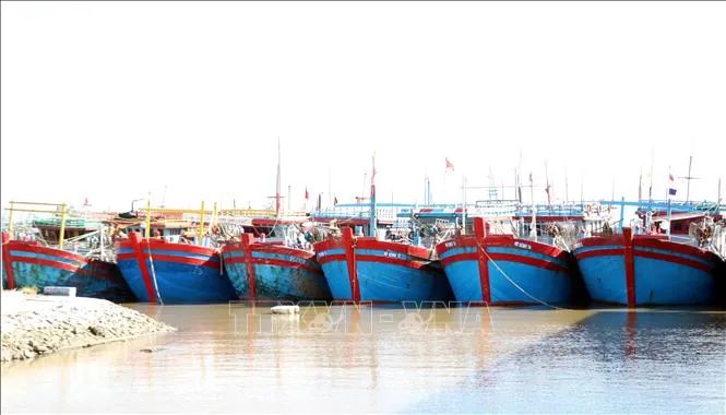 Xử lý dứt điểm 11 vấn đề IUU trước ngày 19-4 Xử lý dứt điểm 11 vấn đề IUU trước ngày 19-4