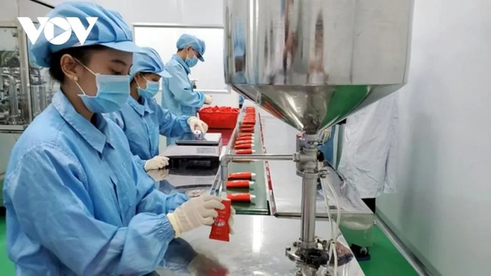 Hỗ trợ doanh nghiệp tham gia sâu hơn chuỗi cung ứng khu vực và toàn cầu