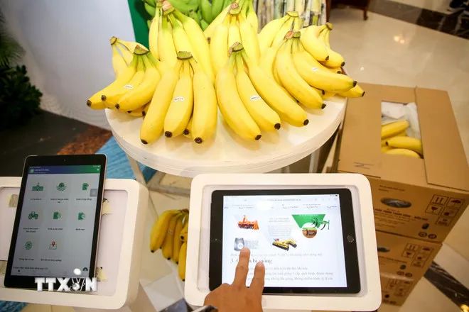 Số hóa 'lý lịch' nông sản để thâm nhập những thị trường khó tính