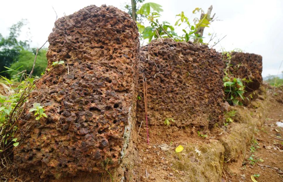 Về Truông Mây thăm nghĩa quân Chàng Lía Về Truông Mây thăm nghĩa quân Chàng Lía