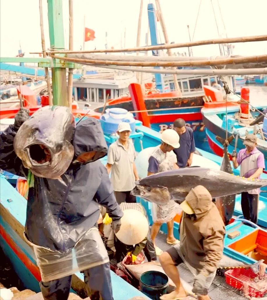 Bền bỉ vươn khơi, ngư dân trúng 'lộc'