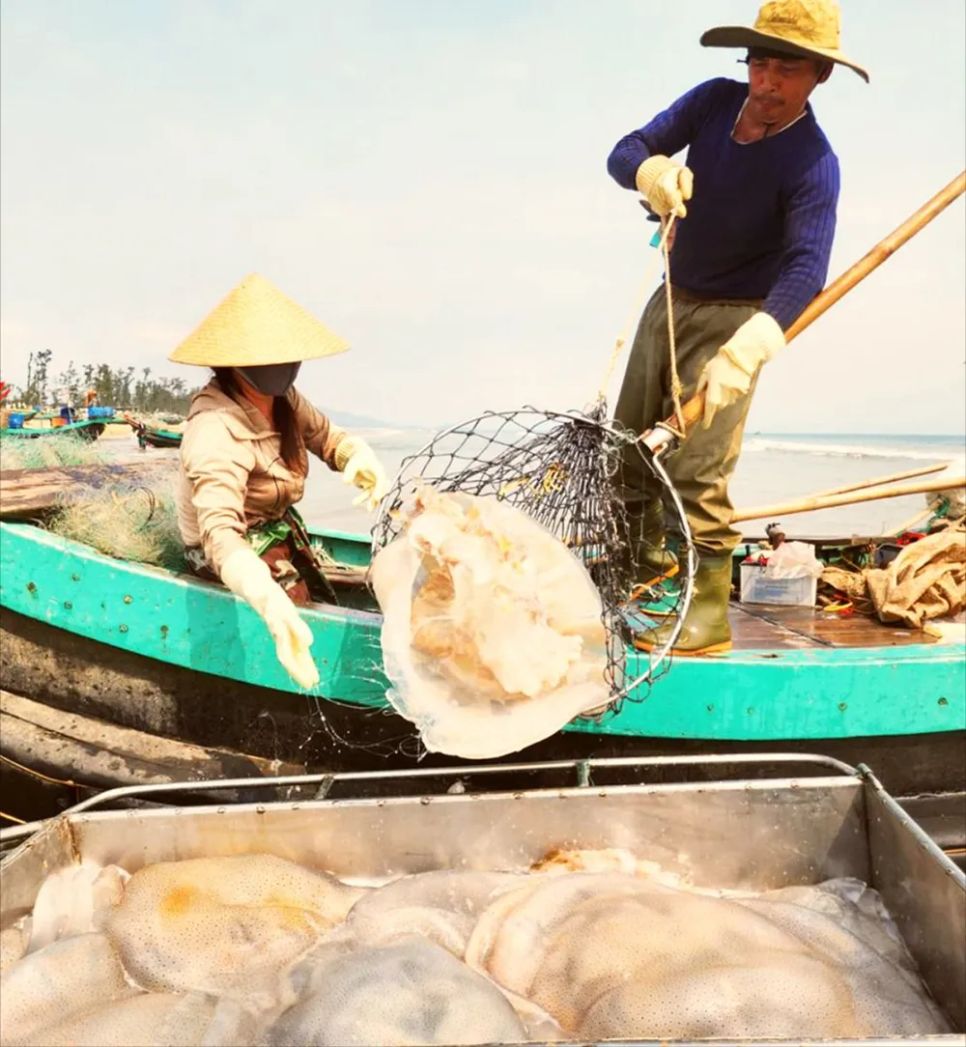 Bền bỉ vươn khơi, ngư dân trúng 'lộc'