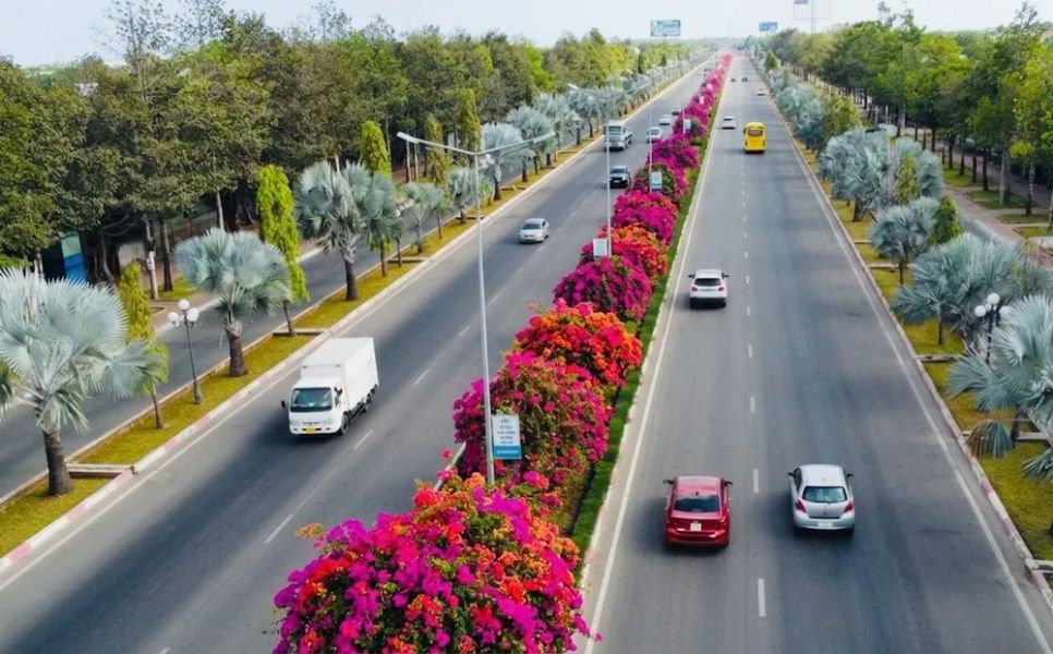 Đường hoa giấy 3-2 dài hơn 10km, đoạn gần Ẹo Ông Từ, vào trung tâm Vũng Tàu, đi qua 3 phường. Ảnh: QUANG VŨ