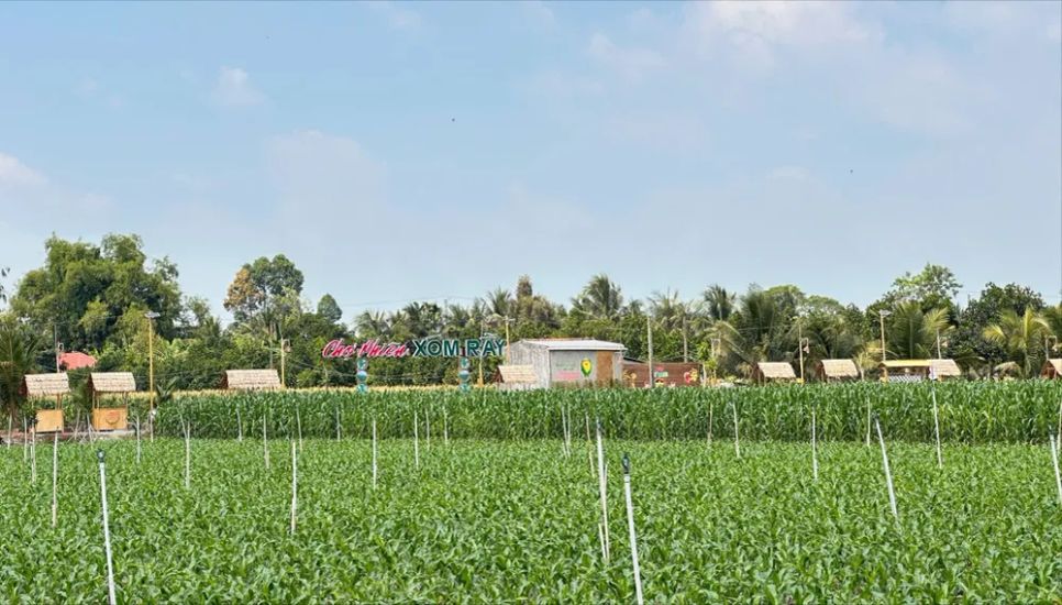 Chợ phiên Xóm Rẫy nằm giữa, bao quanh là cánh đồng bắp, lúa, mè... xanh mướt Chợ phiên Xóm Rẫy nằm giữa, bao quanh là cánh đồng bắp, lúa, mè... xanh mướt