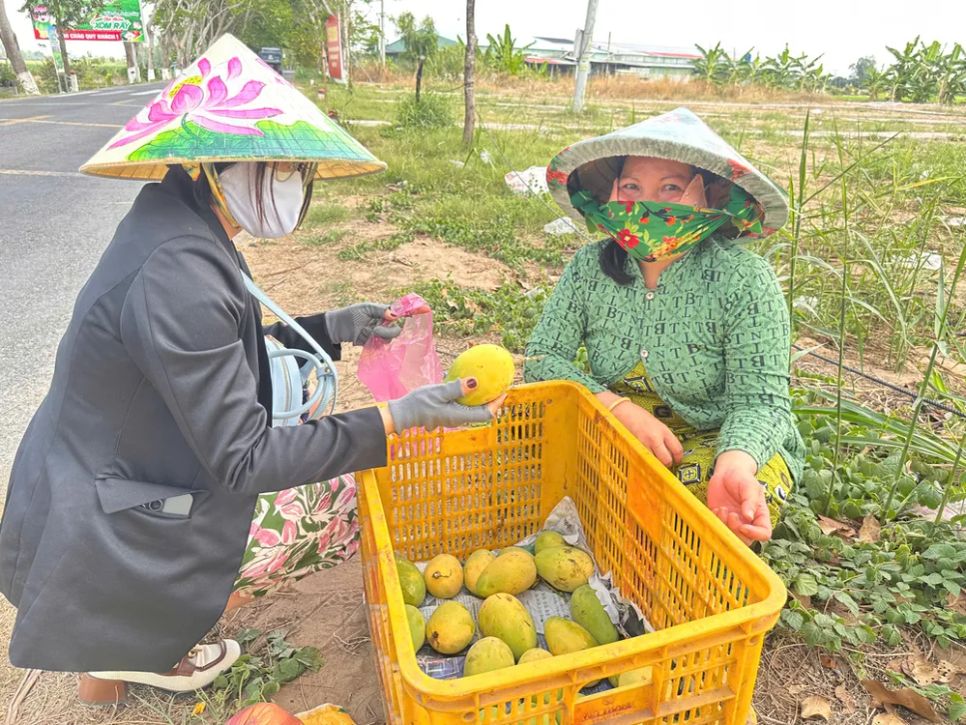 Du khách mua trái cây tại phiên chợ Du khách mua trái cây tại phiên chợ