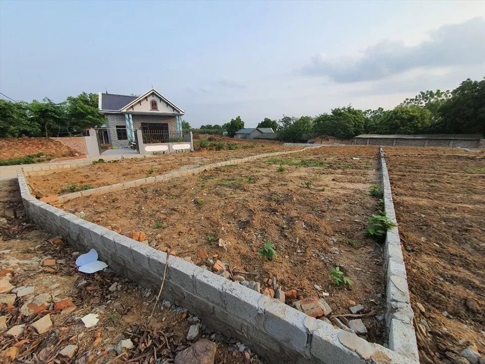 Dự thảo về điều tách thửa, hợp thửa đã nhận được hàng trăm ý kiến đóng góp