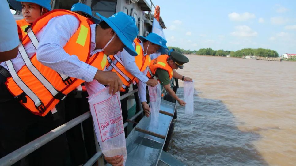 Các đại biểu thả 3 triệu con tôm giống về với tự nhiên
