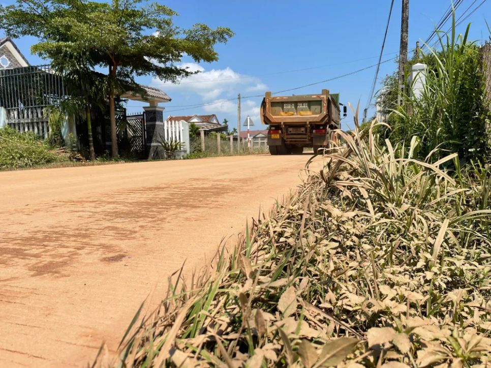 Bụi đất phủ dày cả mặt đường, bám trên cây cối