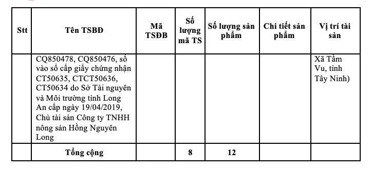 Danh sách chi tiết 8 tài sản của bà Trương Mỹ Lan được ngân hàng SCB bán đấu giá