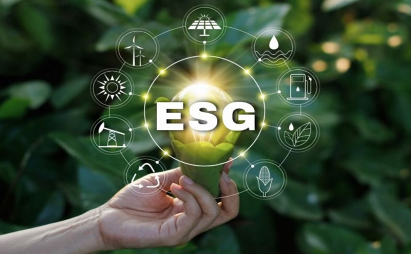 Hoàn thiện khung tiêu chuẩn ESG, mở rộng tiếp cận vốn ưu đãi cho dự án xanh. Ảnh minh họa