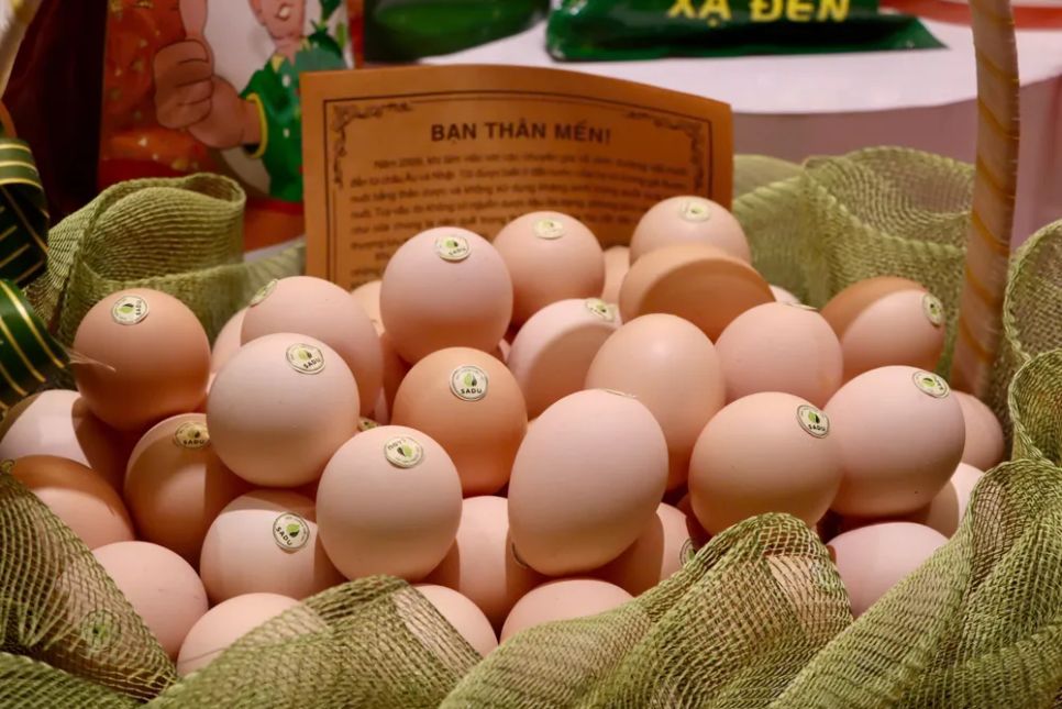 Tối nay, livestream giới thiệu hàng Việt trên TikTok