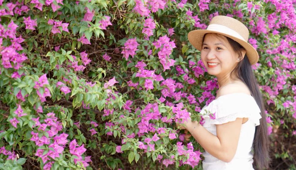 Chiêm ngưỡng Chiêm ngưỡng