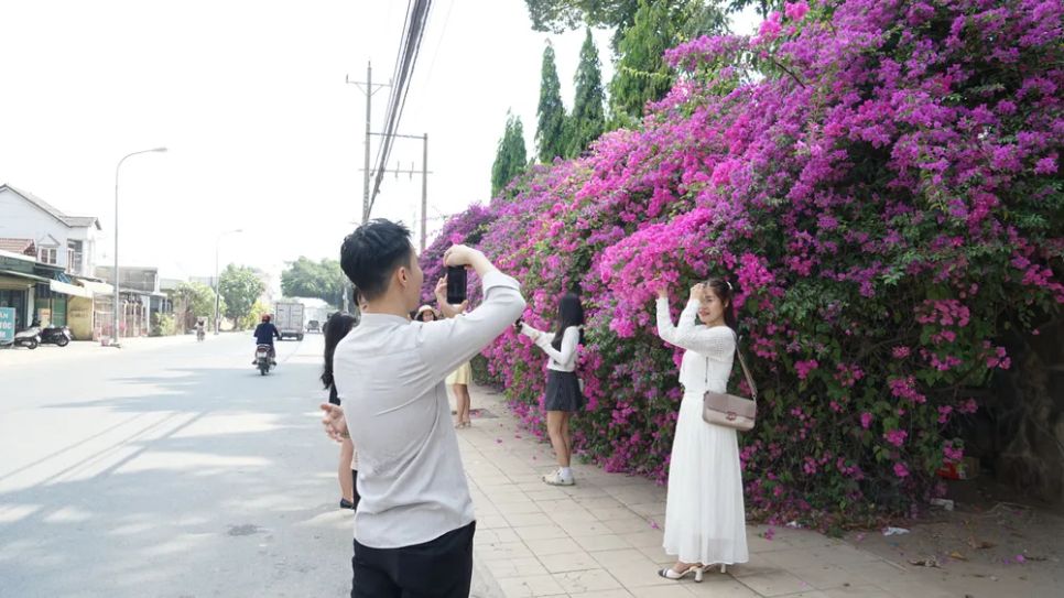 Chiêm ngưỡng Chiêm ngưỡng