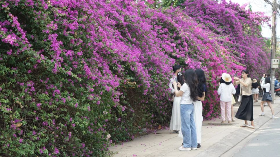 Chiêm ngưỡng Chiêm ngưỡng