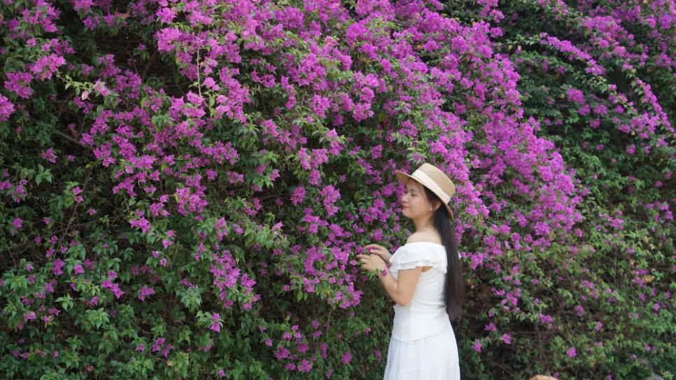 Nhiều bạn trẻ ở xa cũng tìm đến chụp ảnh trên cung đường Nhiều bạn trẻ ở xa cũng tìm đến chụp ảnh trên cung đường