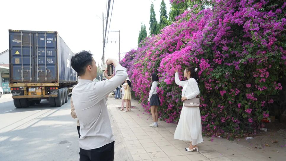 Nhiều phương tiện ra vào cảng An Sơn, người dân cần chú ý an toàn giao thông khi chụp ảnh Nhiều phương tiện ra vào cảng An Sơn, người dân cần chú ý an toàn giao thông khi chụp ảnh