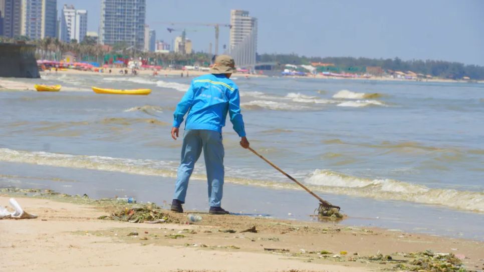Công nhân vệ sinh môi trường cào tảo biển