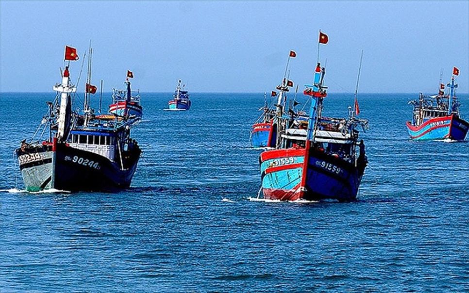 Đẩy mạnh triển khai hệ thống truy xuất nguồn gốc thủy sản điện tử. Ảnh minh họa