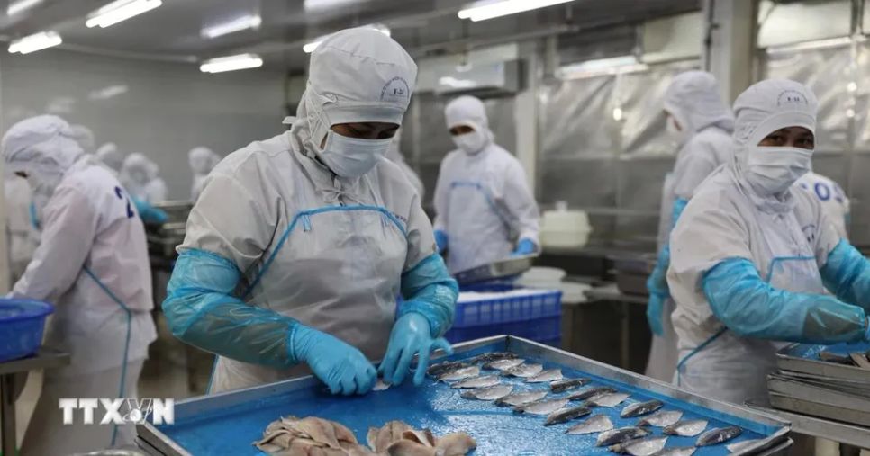 Doanh nghiệp thủy sản TPHCM chủ động thích ứng với biến động thị trường