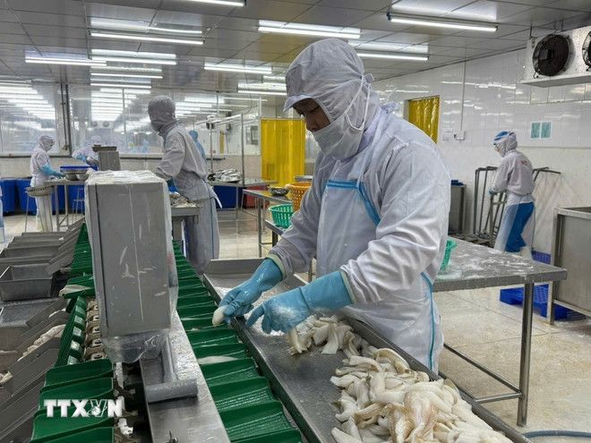 Doanh nghiệp thủy sản TPHCM chủ động thích ứng với biến động thị trường