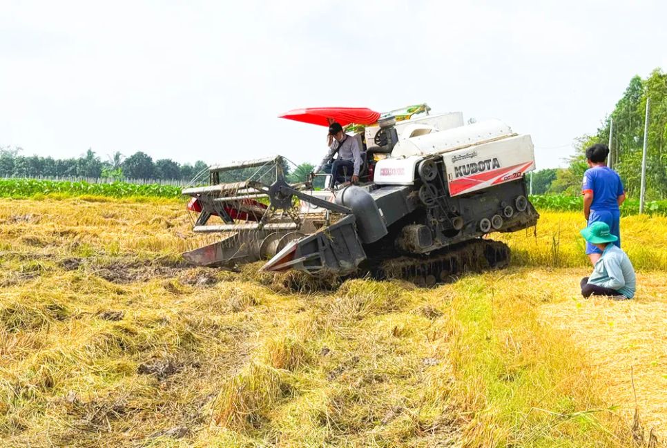 Doanh nghiệp xăng dầu kiến nghị cần có chính sách hỗ trợ nông dân trong bối cảnh xăng dầu tăng giá