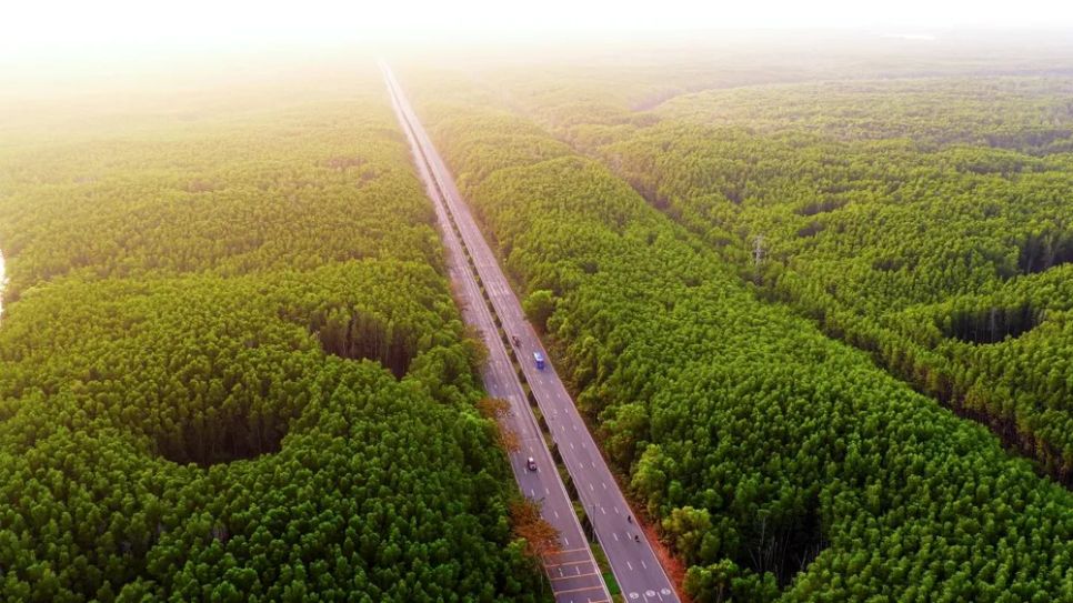 Chạy xuyên rừng ngập mặn và dọc bờ biển Cần Giờ là trải nghiệm đáng giá nhất.