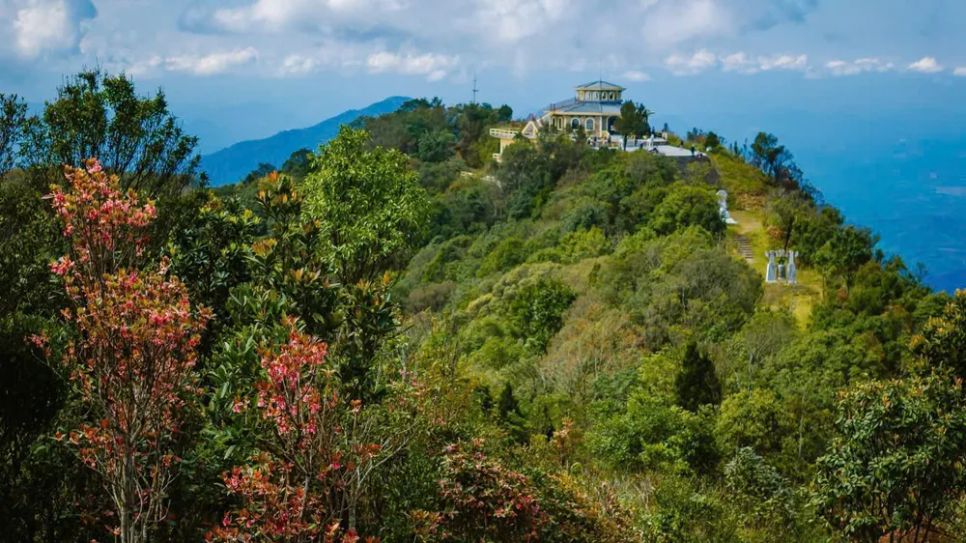 Lạc vào Vườn Di sản ASEAN Bạch Mã Lạc vào Vườn Di sản ASEAN Bạch Mã