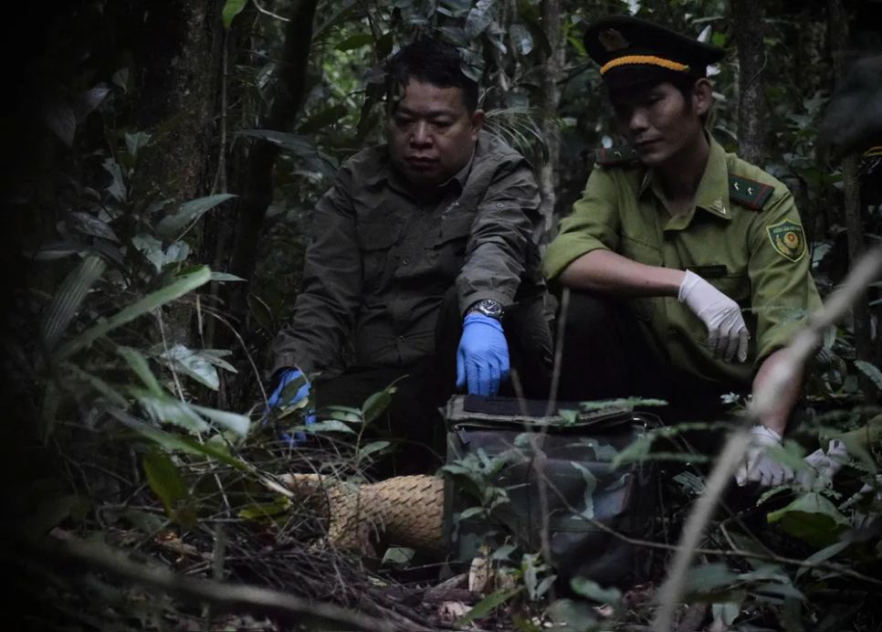 Lạc vào Vườn Di sản ASEAN Bạch Mã Lạc vào Vườn Di sản ASEAN Bạch Mã