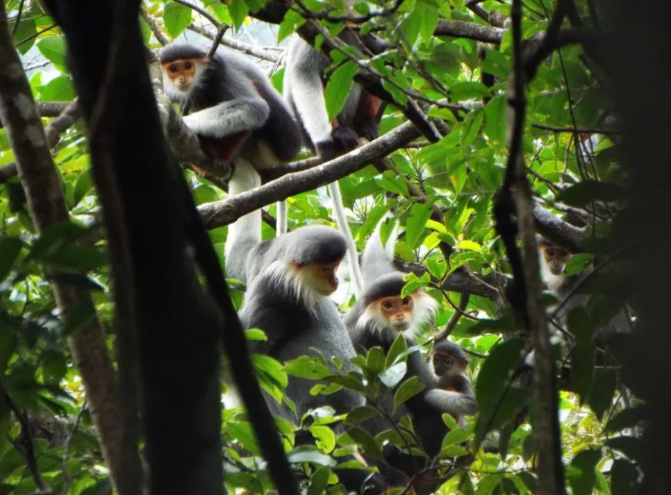 Lạc vào Vườn Di sản ASEAN Bạch Mã Lạc vào Vườn Di sản ASEAN Bạch Mã