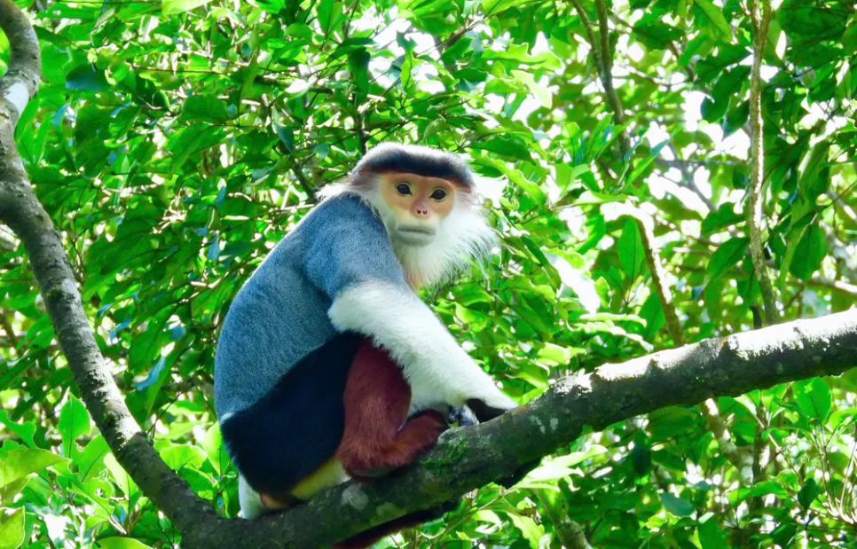 Lạc vào Vườn Di sản ASEAN Bạch Mã Lạc vào Vườn Di sản ASEAN Bạch Mã