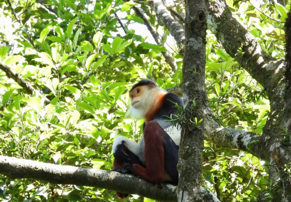 Lạc vào Vườn Di sản ASEAN Bạch Mã Lạc vào Vườn Di sản ASEAN Bạch Mã