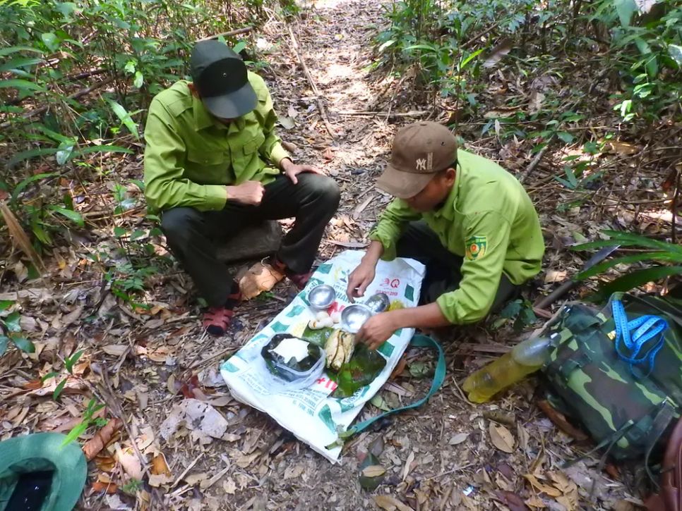Lạc vào Vườn Di sản ASEAN Bạch Mã Lạc vào Vườn Di sản ASEAN Bạch Mã