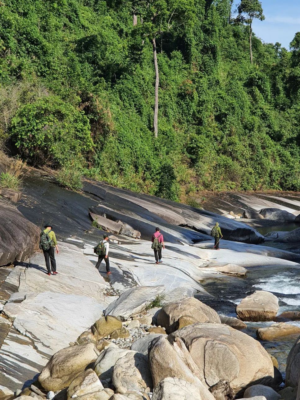 Lạc vào Vườn Di sản ASEAN Bạch Mã Lạc vào Vườn Di sản ASEAN Bạch Mã